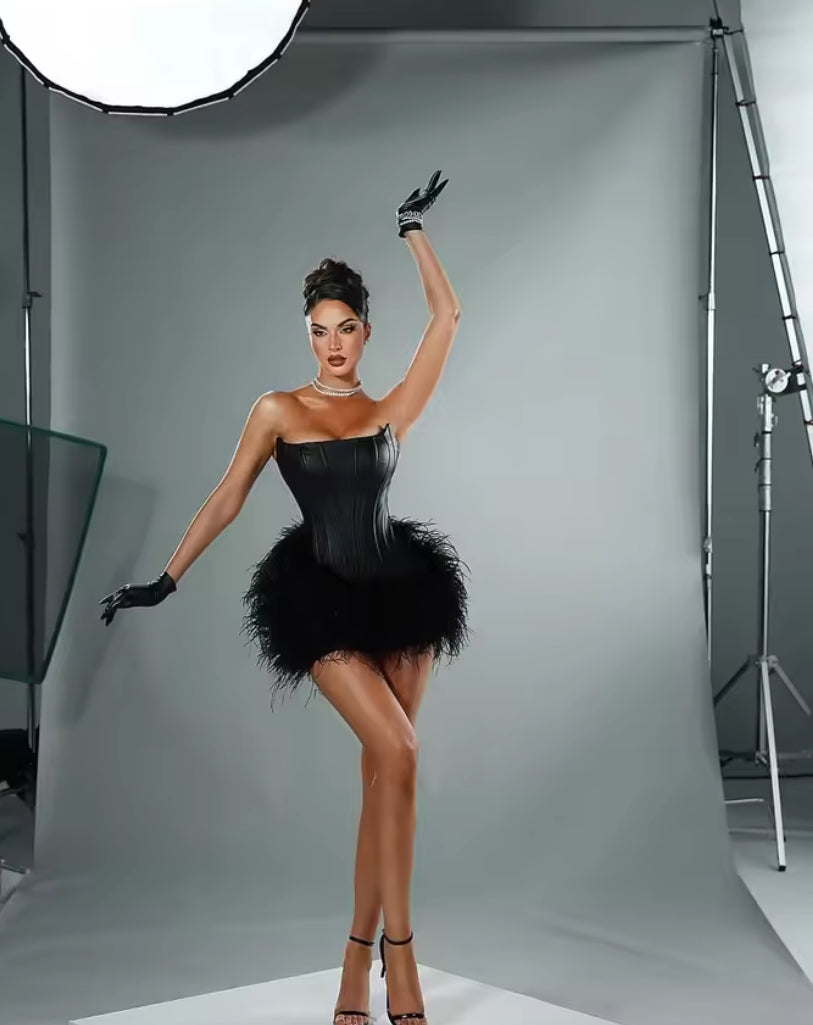 Midnight Glam Feather Corset Dress