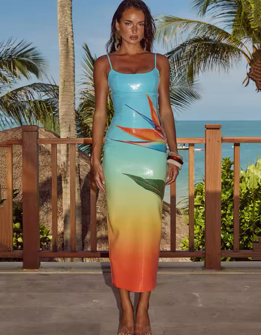 Vanessa Beach Maxi Dress