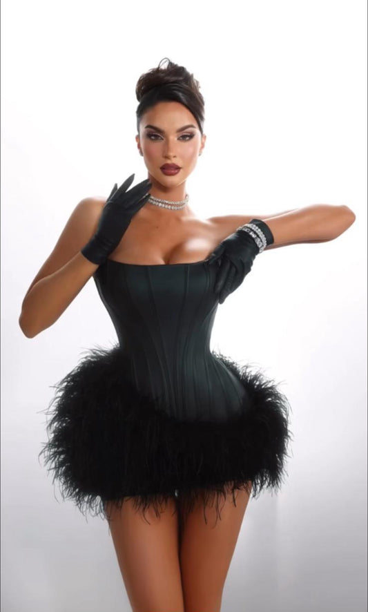 Midnight Glam Feather Corset Dress