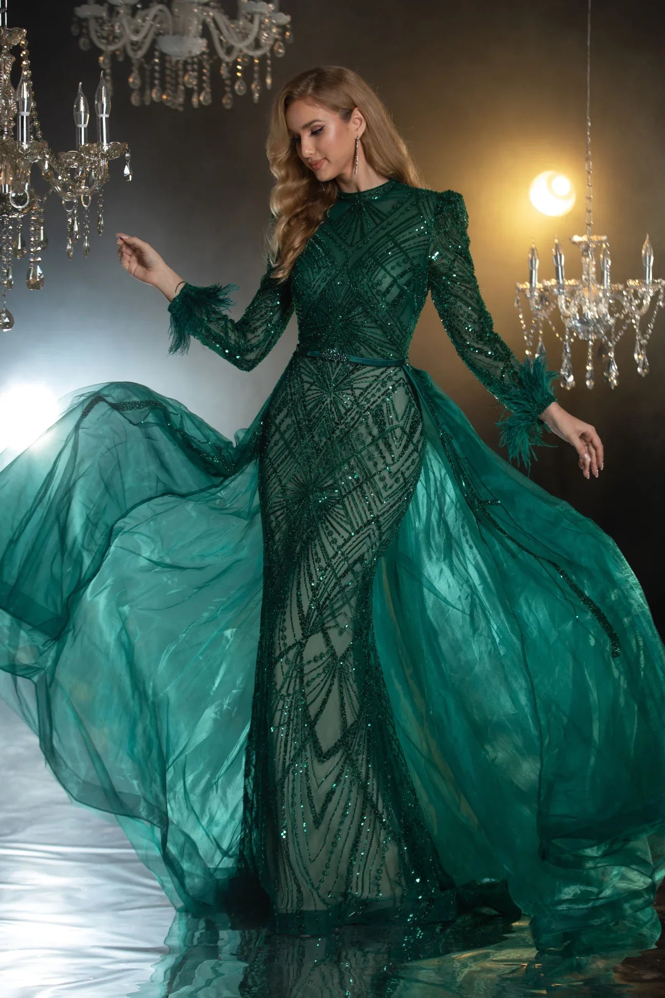 Embellished Long sleeves Evening Gown